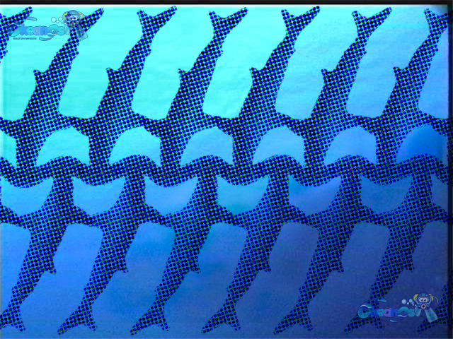 okeanos fine art prints/blue washed sharks